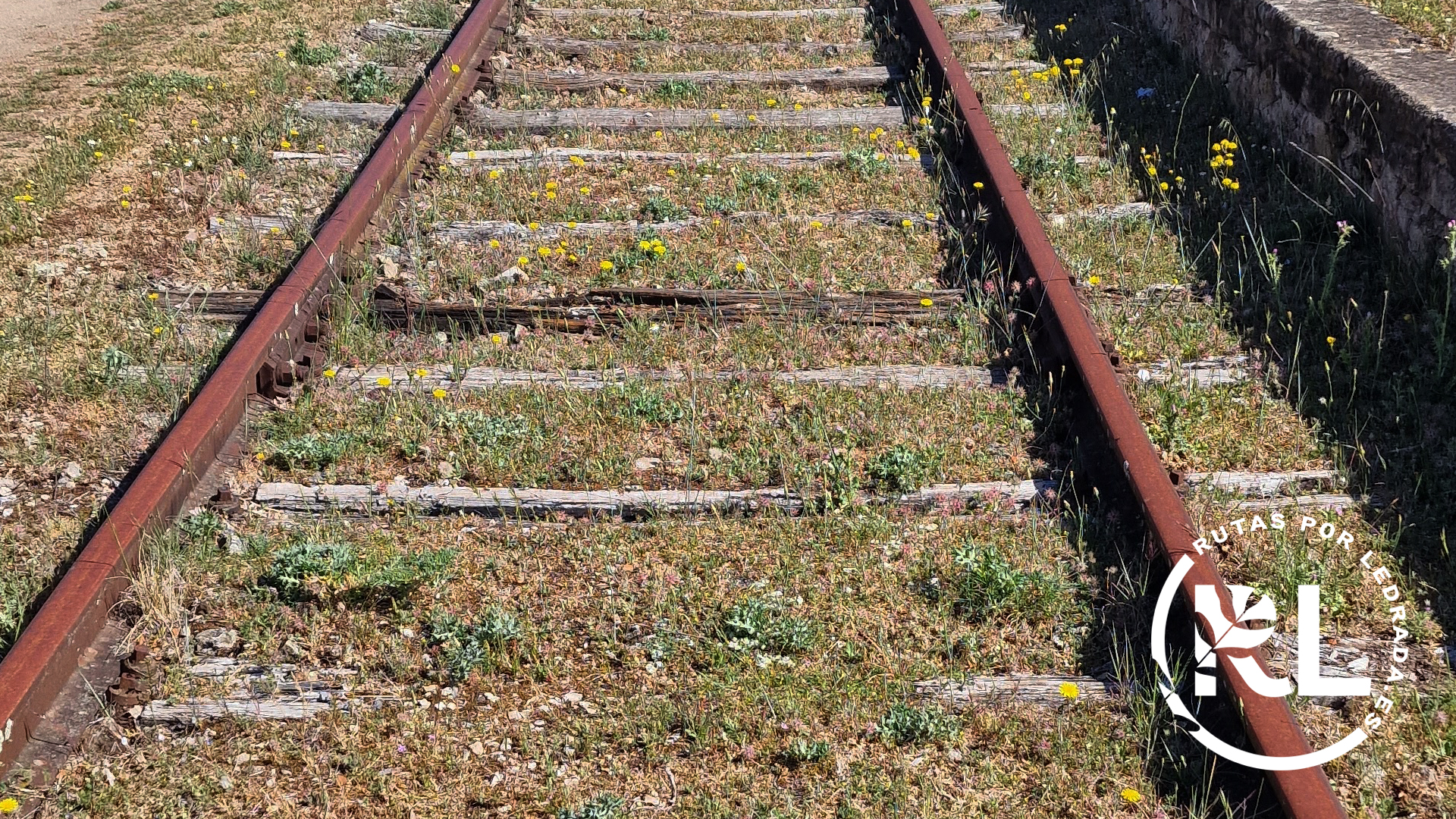 estaciontren_recurso03