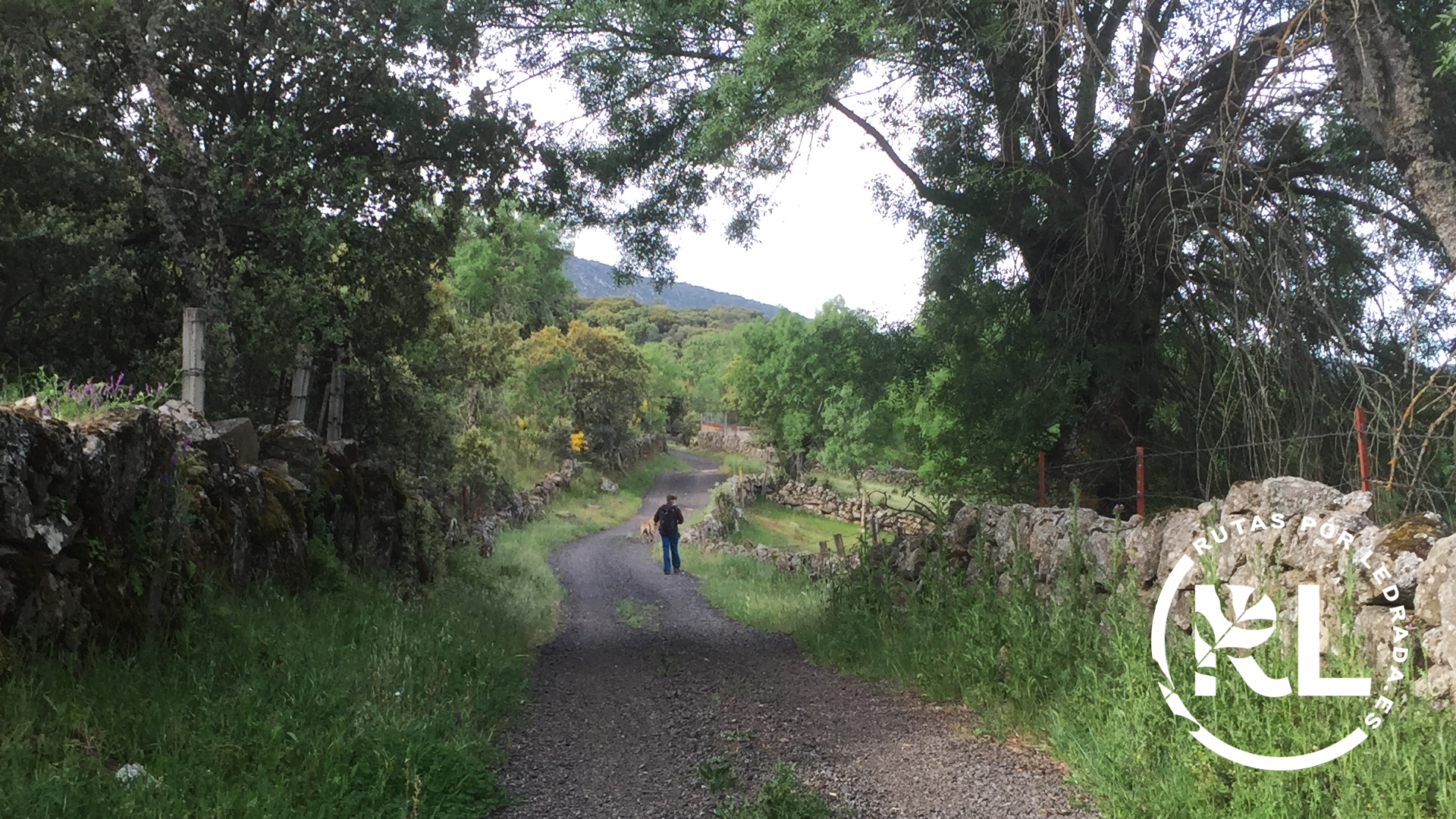 loshermanitos_galeria01