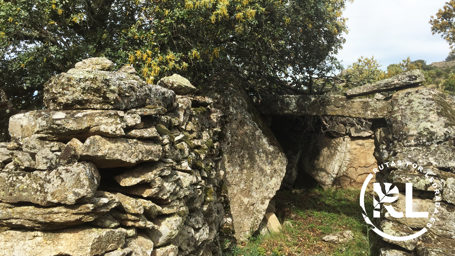 loshermanitos_galeria03