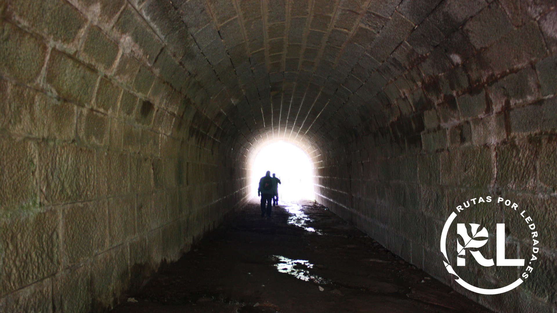 loshermanitos_galeria09