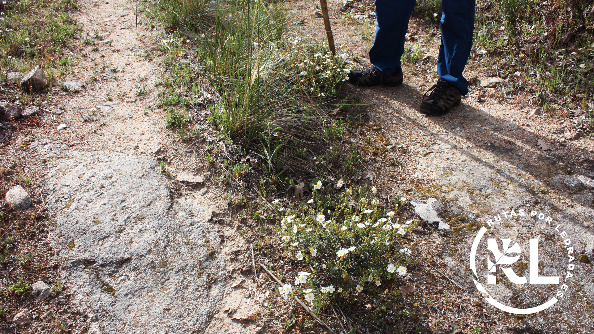 loshermanitos_galeria11