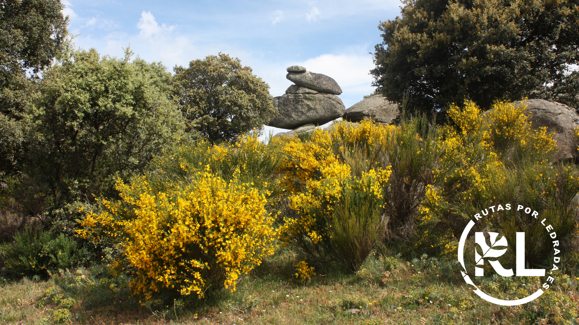 loshermanitos_galeria15