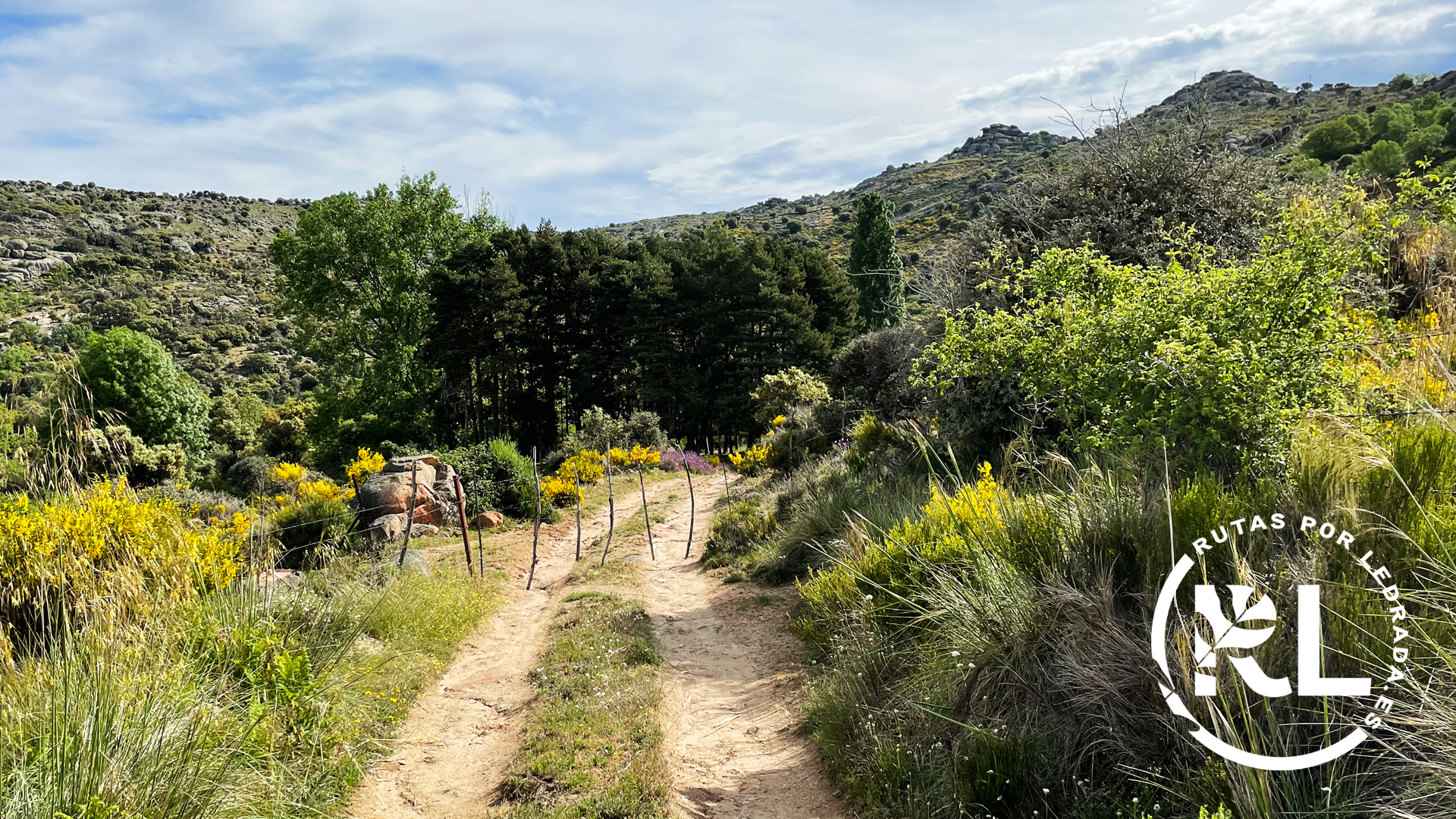 loshermanitos_galeria17