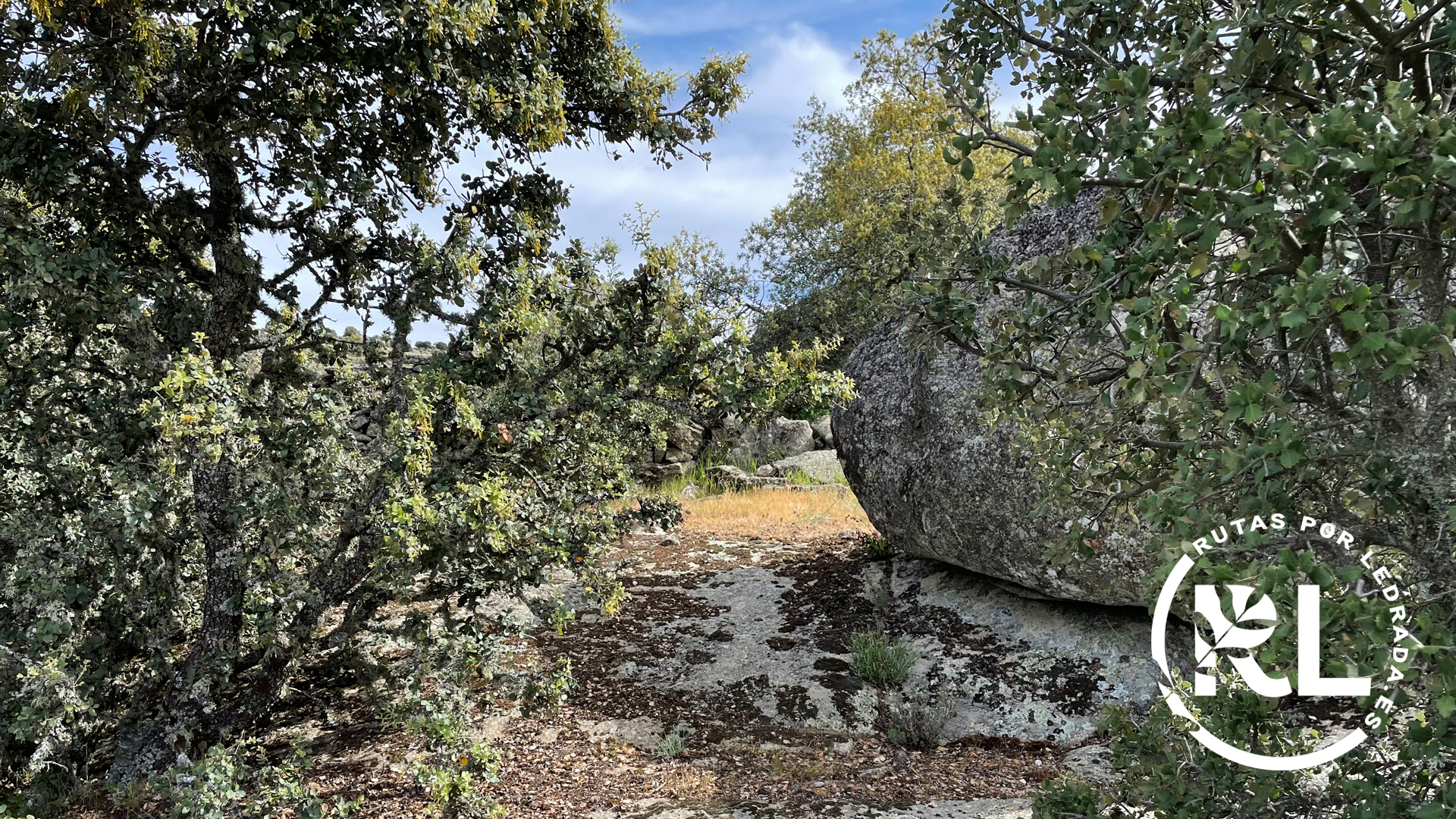 loshermanitos_galeria18