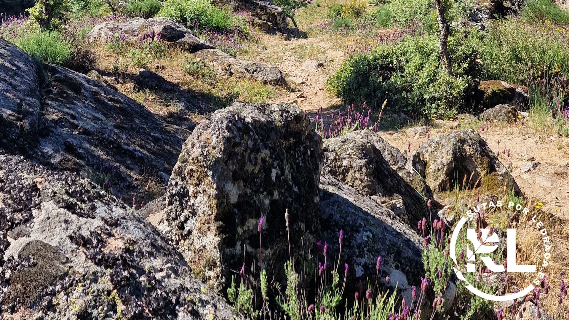 lossecretos_galeria_06