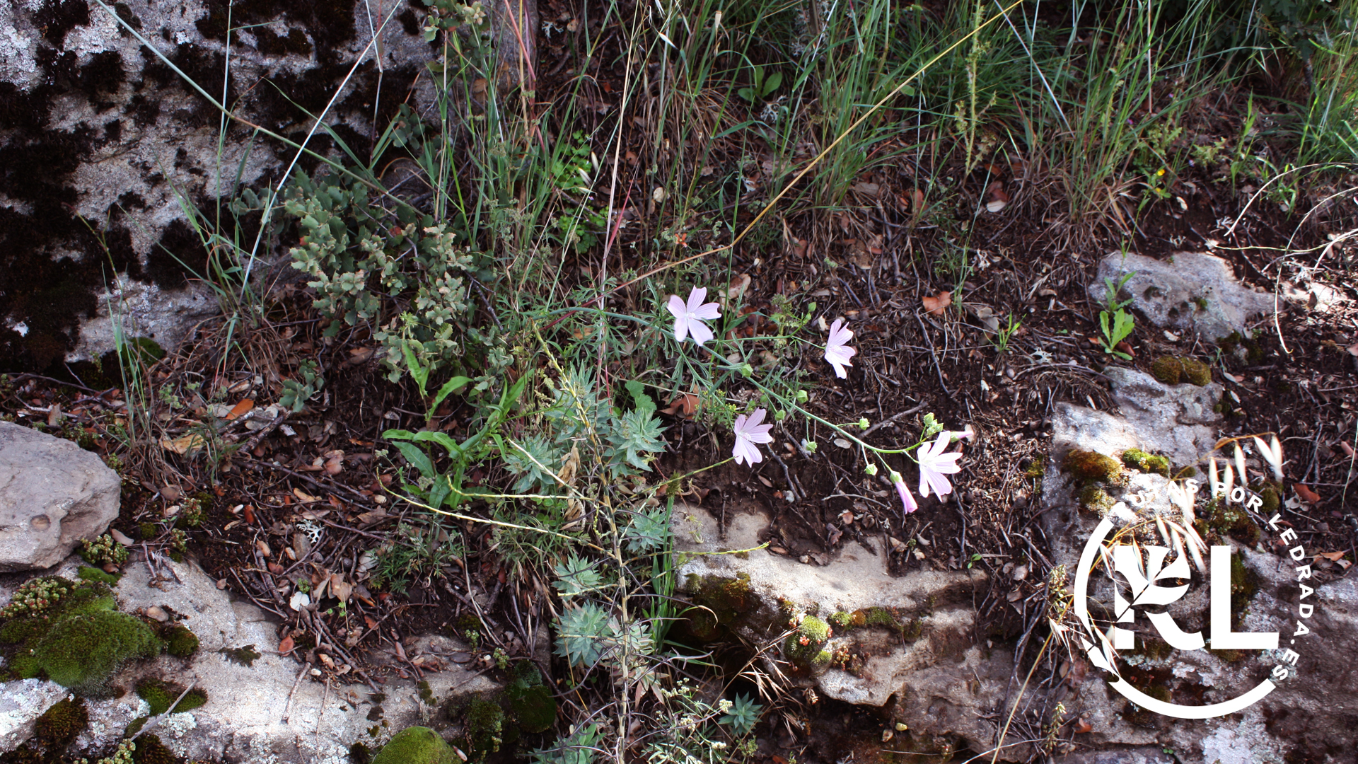 lossecretos_galeria_08