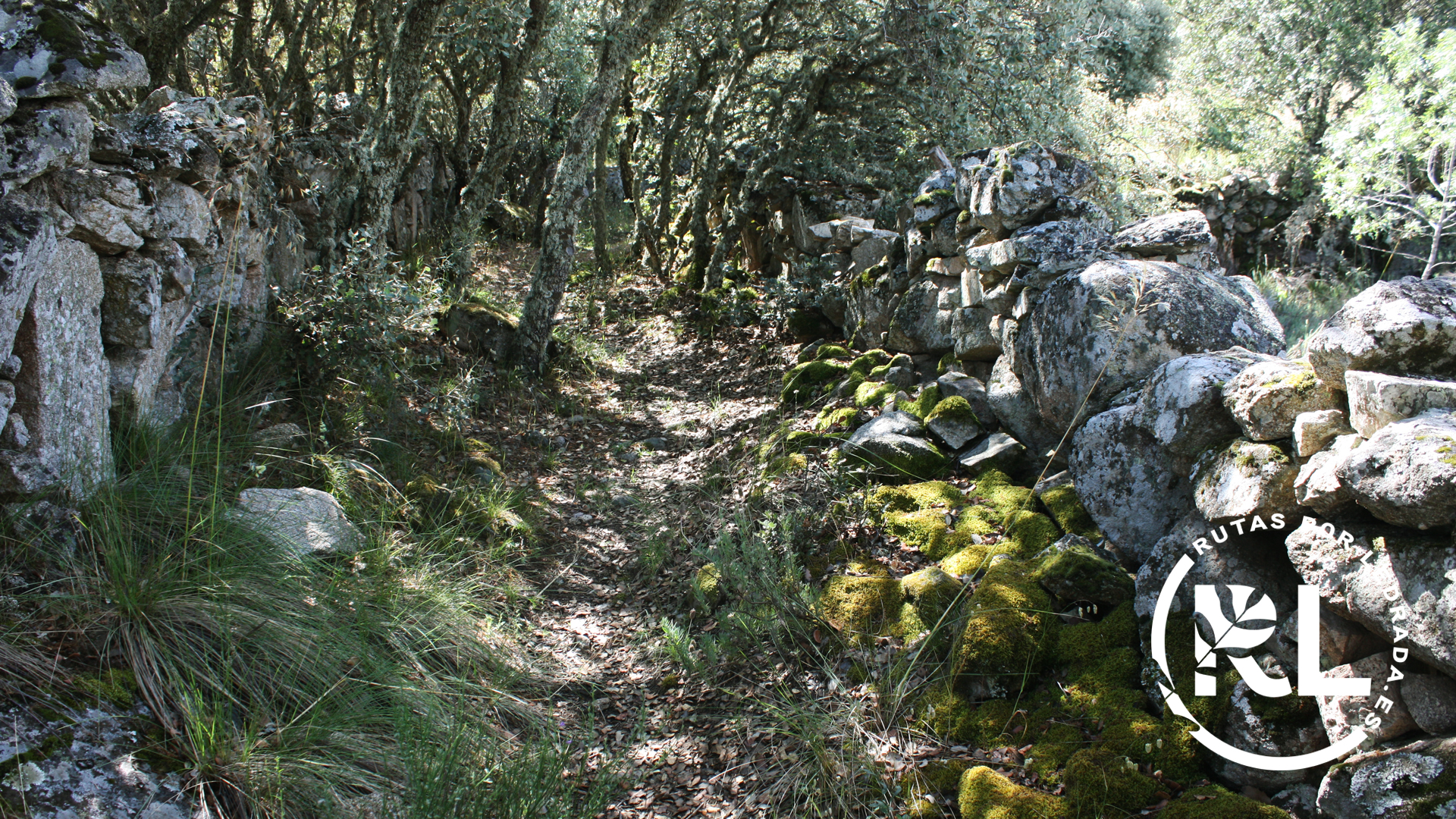 lossecretos_galeria_11